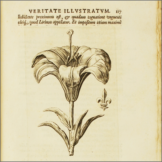 Logo Antiquariat Gruber mit Schriftzug